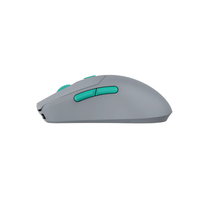 g03_720x.png?v=1733828506